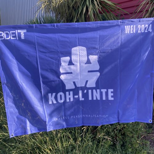 drapeaux_exemple_03